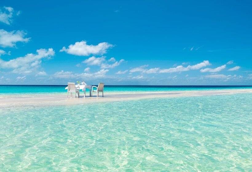 Anantara Dhigu Maldives Resort Complimentary Round Trip Transportation For Minimum Stay Of 3 Night