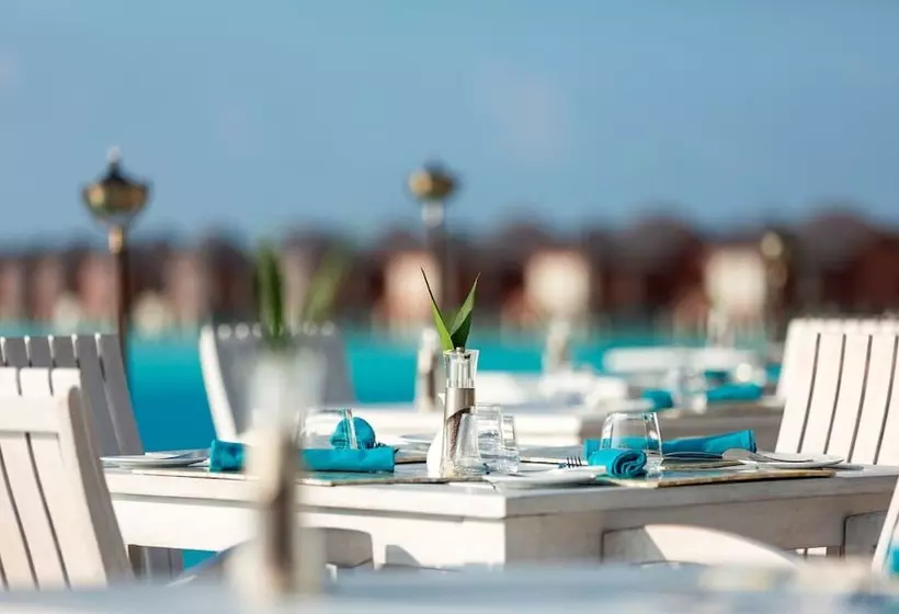 Anantara Dhigu Maldives Resort   Complimentary Round Trip Transportation For Minimum Stay Of 3 Night