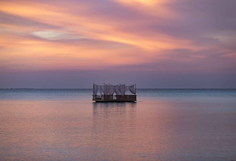 Anantara Dhigu Maldives Resort Complimentary Round Trip Transportation For Minimum Stay Of 3 Night