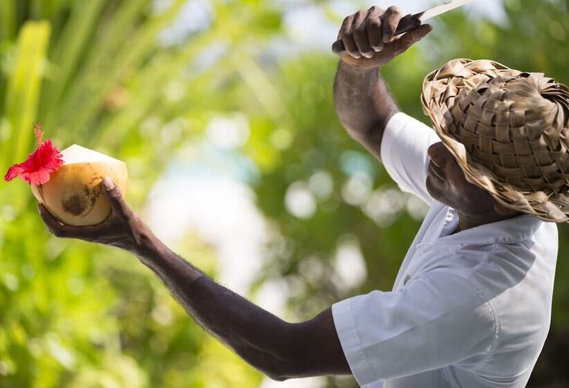 Anantara Dhigu Maldives Resort Complimentary Round Trip Transportation For Minimum Stay Of 3 Night