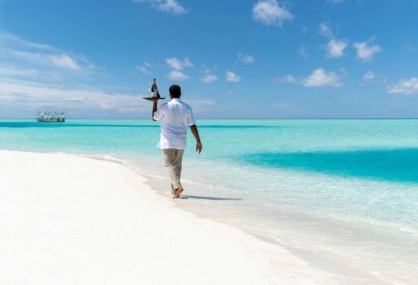 Anantara Dhigu Maldives Resort Complimentary Round Trip Transportation For Minimum Stay Of 3 Night