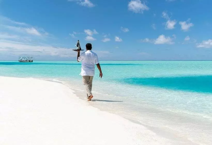 Anantara Dhigu Maldives Resort   Complimentary Round Trip Transportation For Minimum Stay Of 3 Night