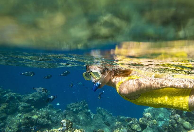 酒店 Three Corners Equinox Beach Resort