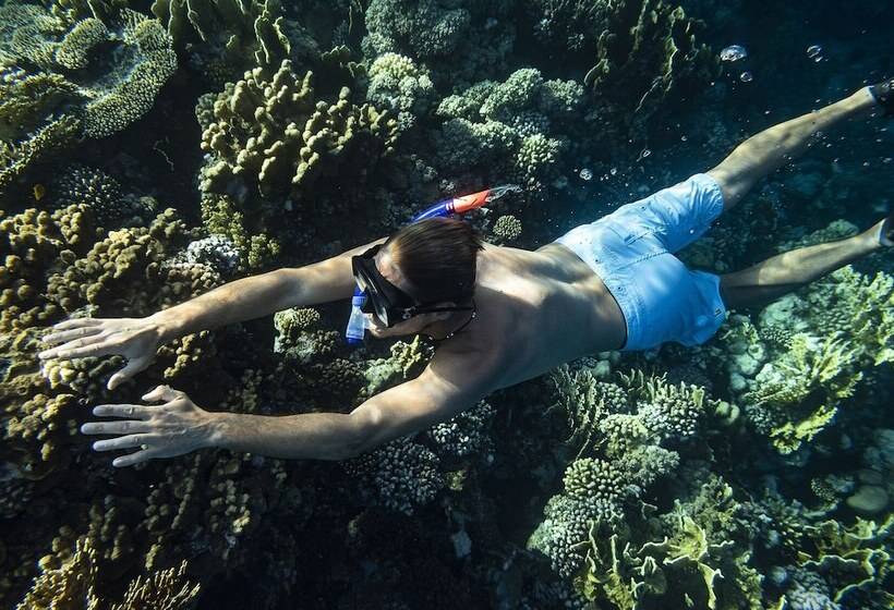 酒店 Three Corners Equinox Beach Resort