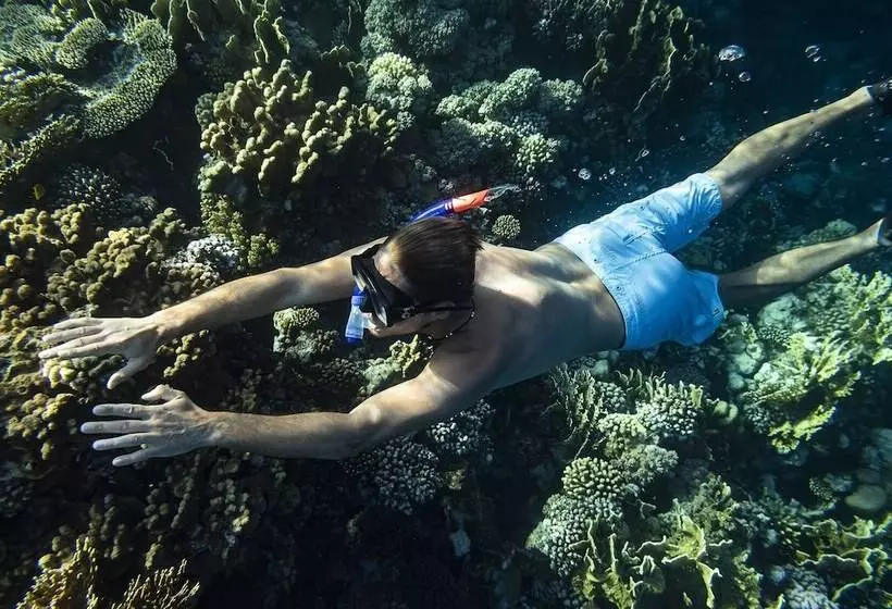 酒店 Three Corners Equinox Beach Resort