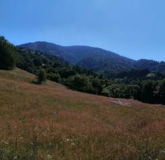 Aamiaismajoitus (B&B) Casa Geanina