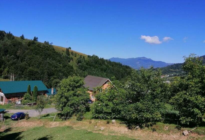 住宿加早餐  Casa Geanina