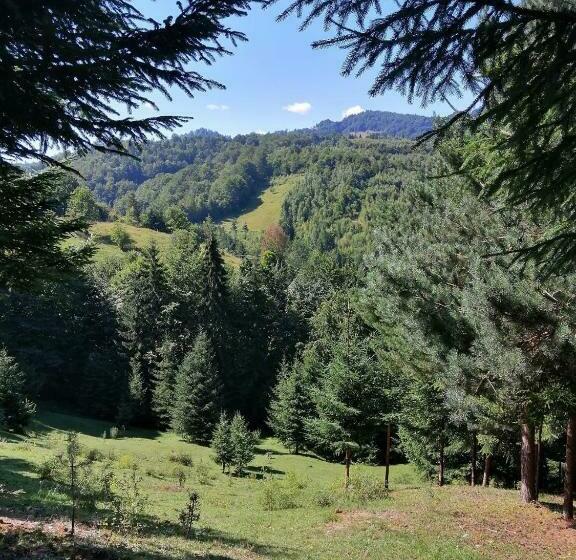 住宿加早餐  Casa Geanina