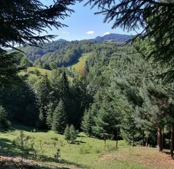 Aamiaismajoitus (B&B) Casa Geanina