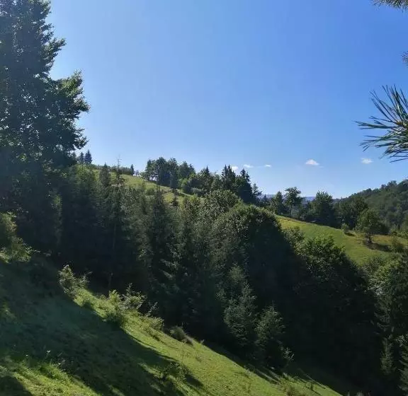 Aamiaismajoitus (B&B) Casa Geanina