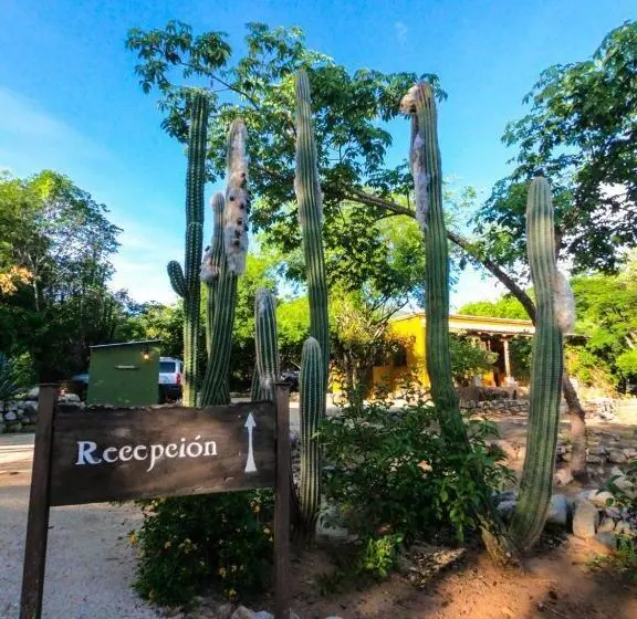 El Pedregal   Hotel En La Naturaleza