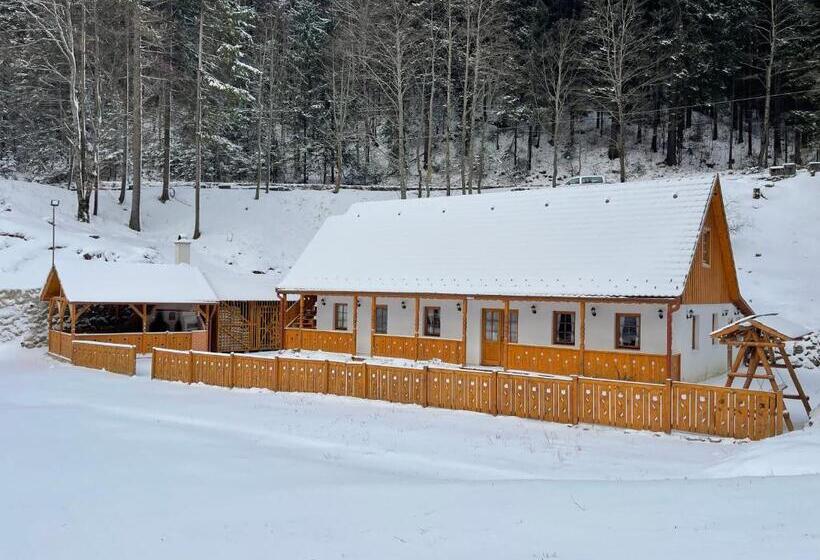 پانسیون Lolo Park Resort