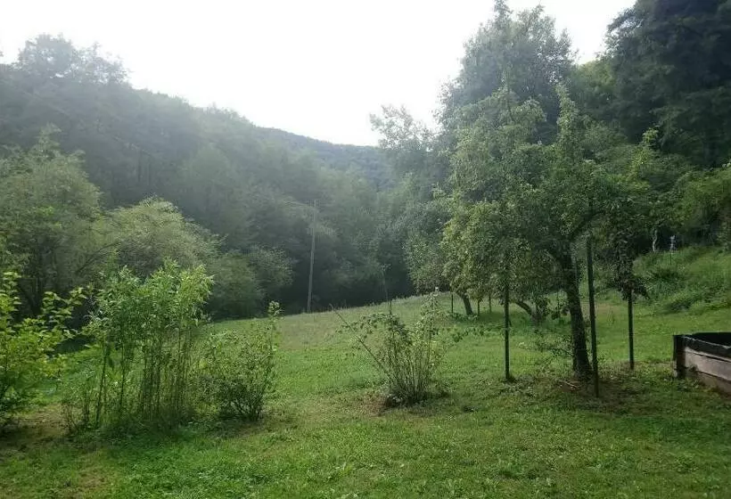 Aamiaismajoitus (B&B) Haus 3 Birken