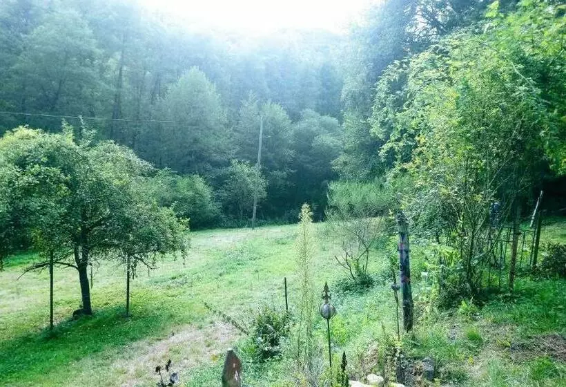 Aamiaismajoitus (B&B) Haus 3 Birken