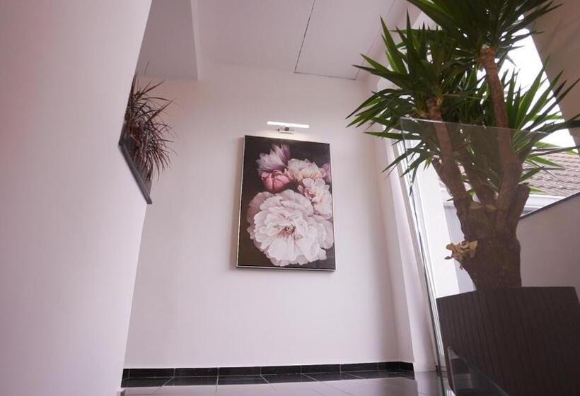 مبيت وإفطار Vivo House