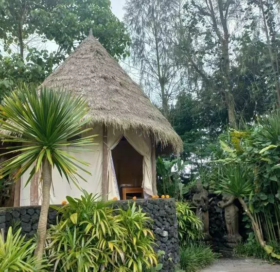 ユースホステル Geopark Village