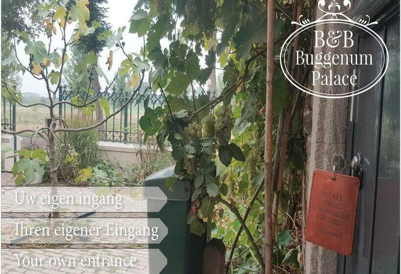 B&b Buggenum Palace