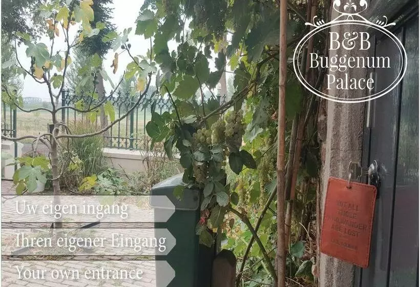 B&b Buggenum Palace