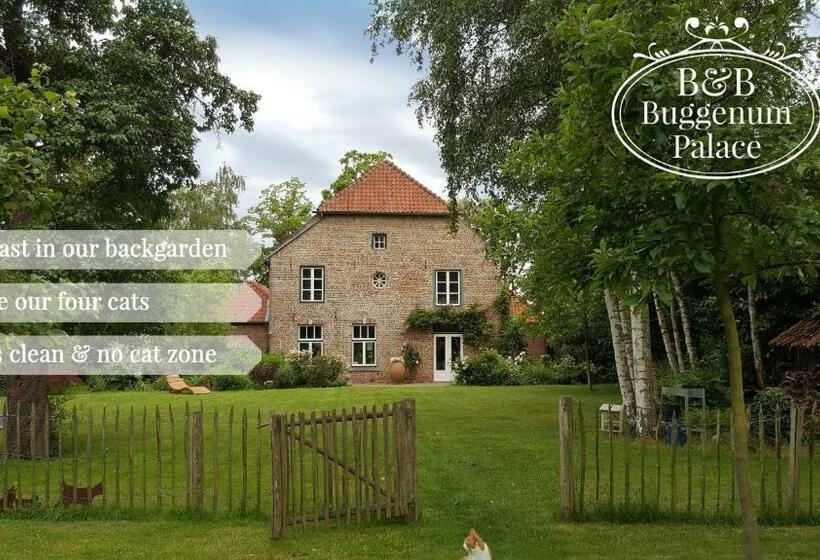 B&b Buggenum Palace