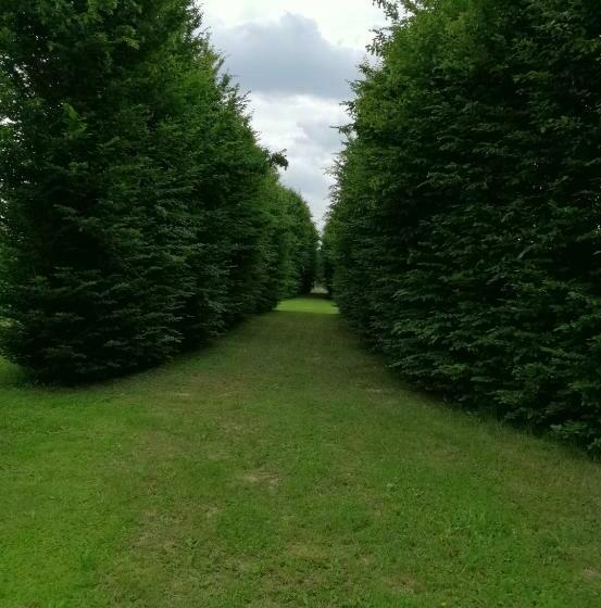 مبيت وإفطار Il Selese