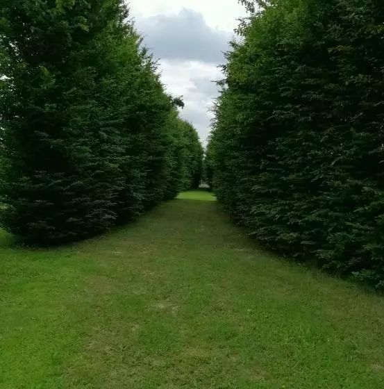 Aamiaismajoitus (B&B) Il Selese