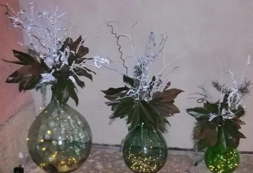 Aamiaismajoitus (B&B) Il Selese