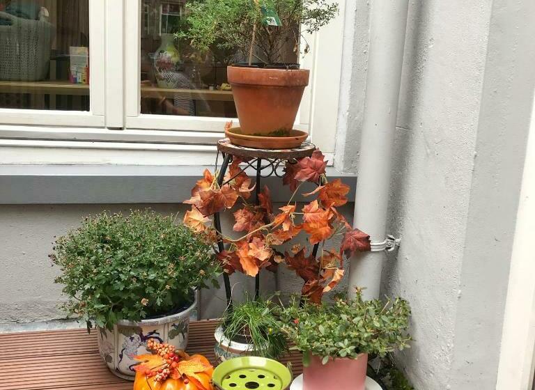 Aamiaismajoitus (B&B) @jo S