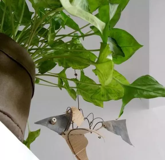 ベッドアンドブレックファースト L Escalier Des Rêves