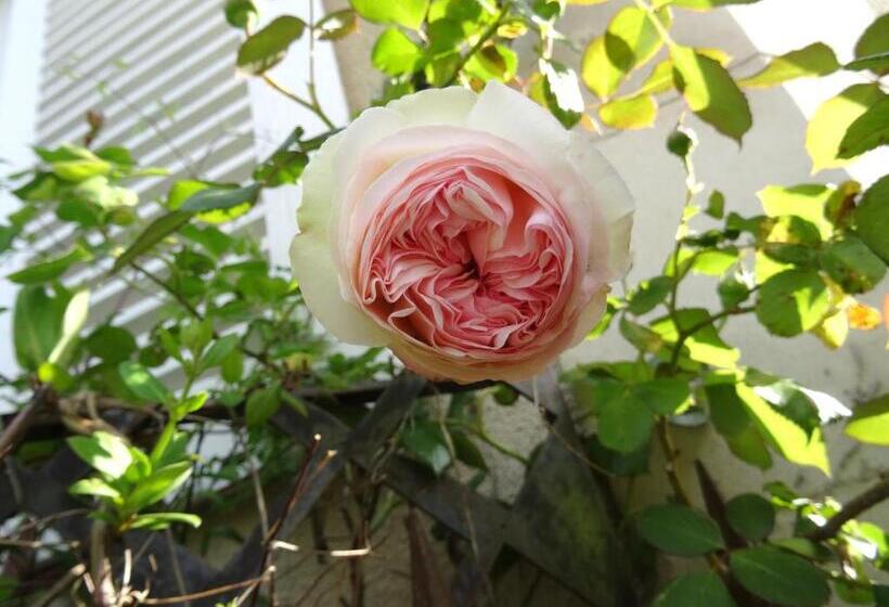 צימר L Escalier Des Rêves