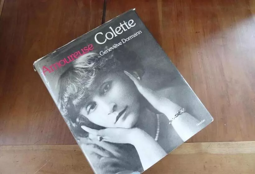 ベッドアンドブレックファースト L Escalier Des Rêves