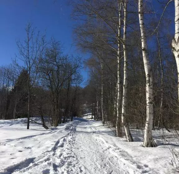 ベッドアンドブレックファースト La Masca