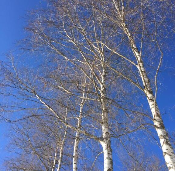 ベッドアンドブレックファースト La Masca