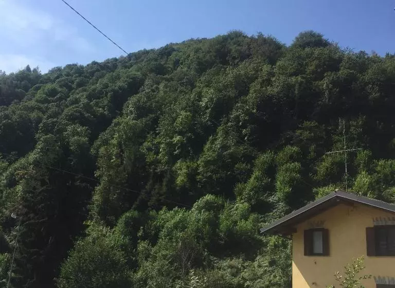 ベッドアンドブレックファースト La Masca