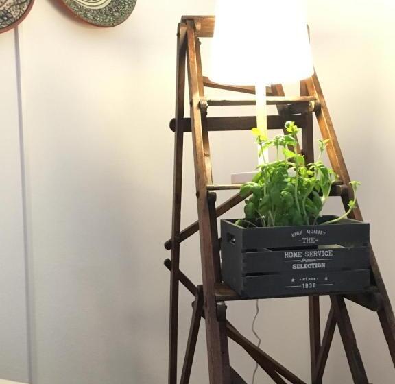 هاستل Eskama Guest House