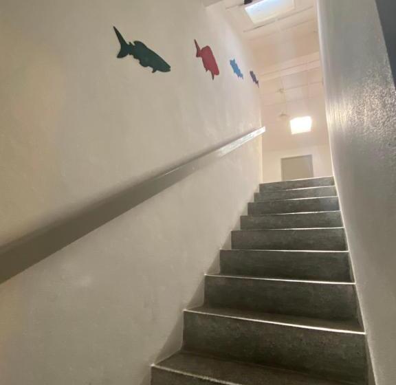 هاستل Eskama Guest House