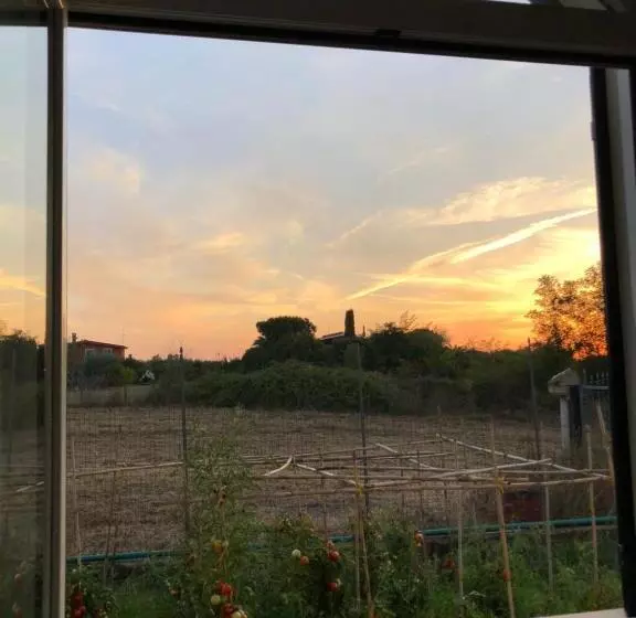 ホテル Agriturismo Lo Zafferano