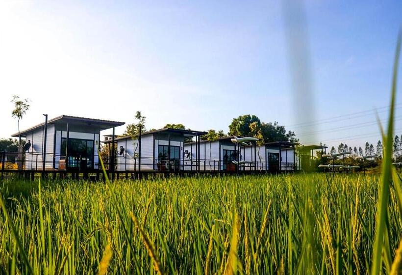 Mae On Village Resort