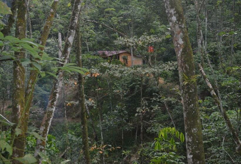 بنسيون Bukit Lawang Landak River Guest House