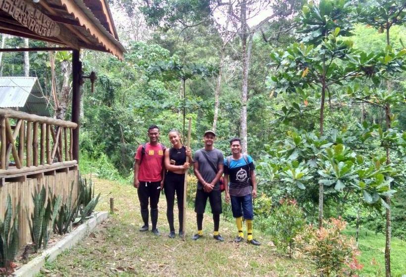 بنسيون Bukit Lawang Landak River Guest House