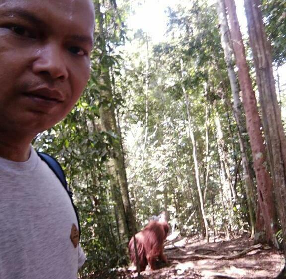 بنسيون Bukit Lawang Landak River Guest House