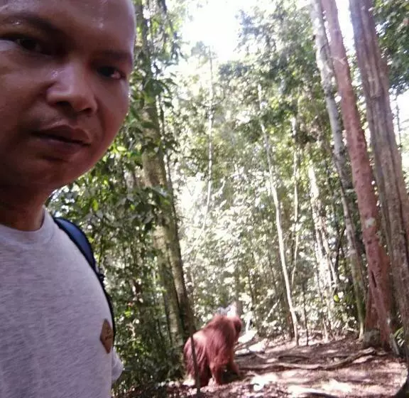 Majatalo Bukit Lawang Landak River Guest House