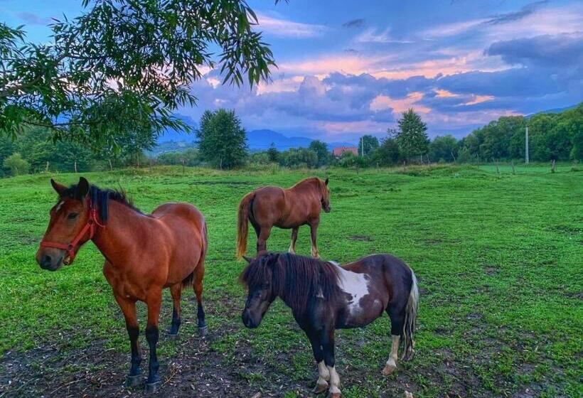 Пансион Casa Leny