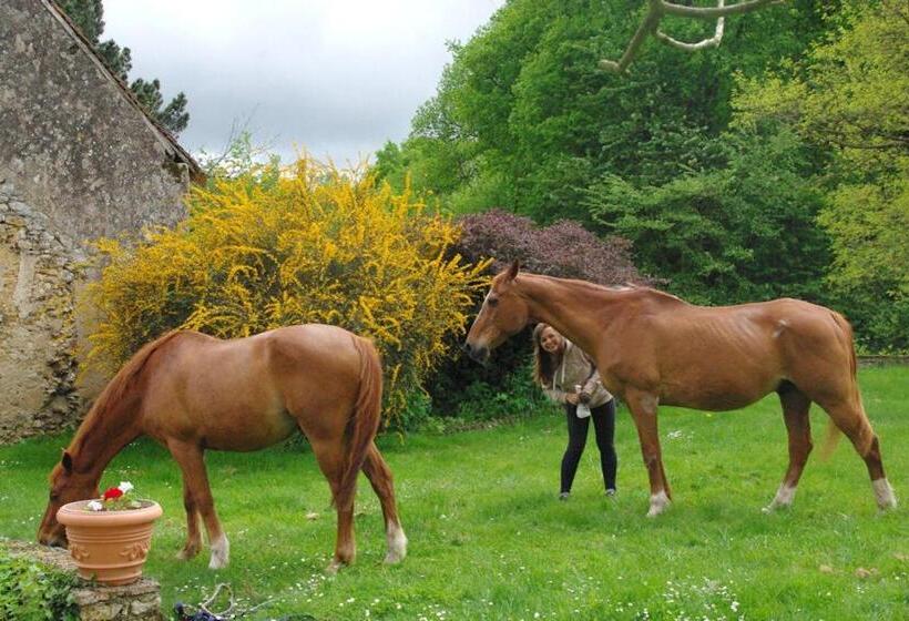 بنسيون Le Tertre