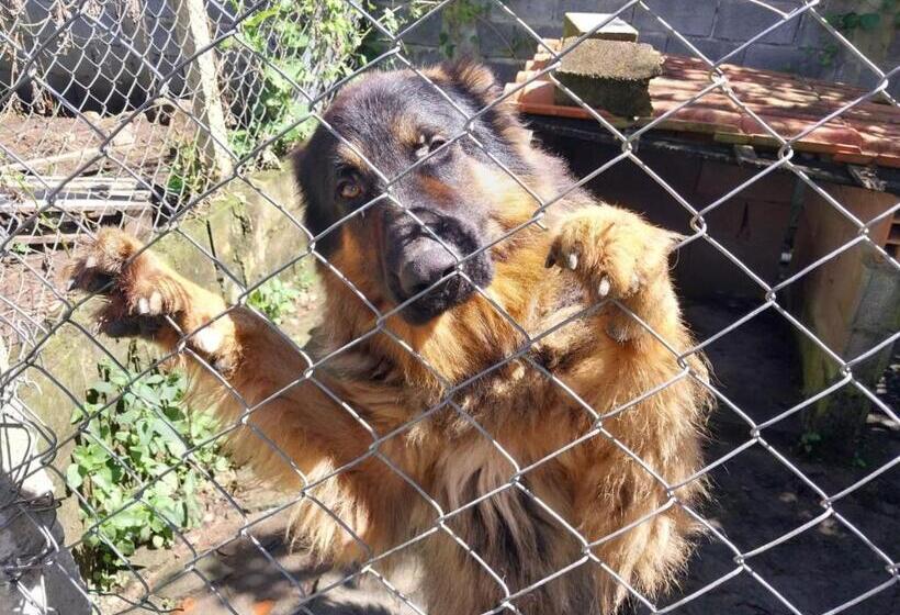 بنسيون Pousada Beija Flor