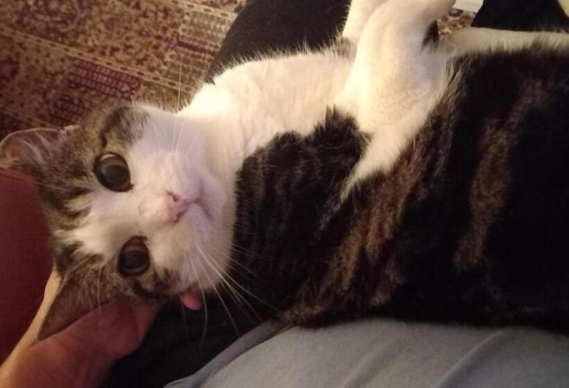 مبيت وإفطار Le Vallon De Bargemon