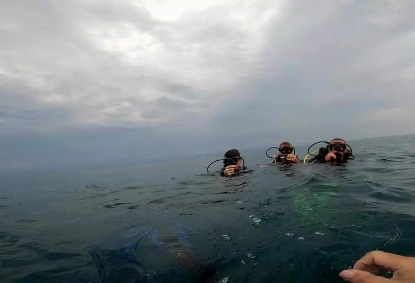 Aamiaismajoitus (B&B) Ten Rooms