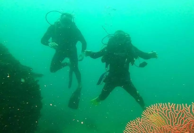 Aamiaismajoitus (B&B) Ten Rooms