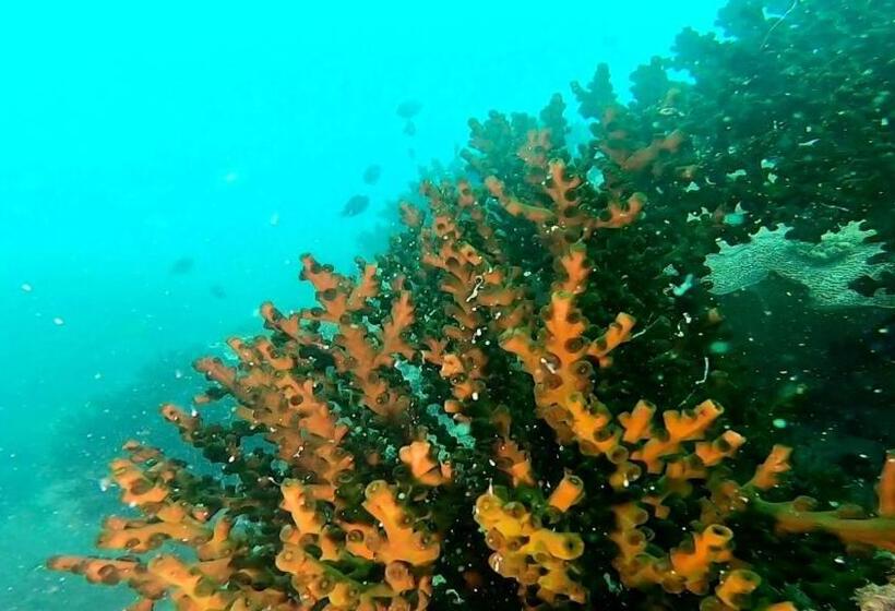 مبيت وإفطار Ten Rooms