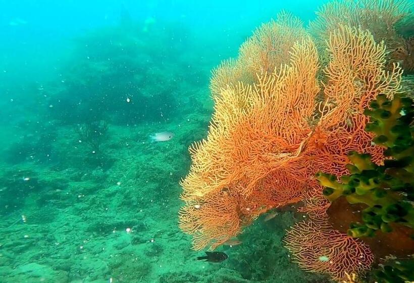 مبيت وإفطار Ten Rooms