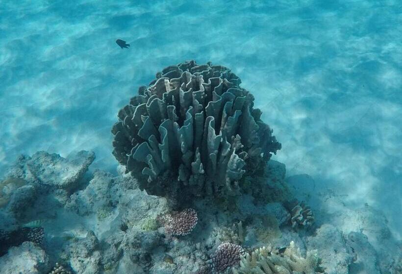 مبيت وإفطار Ten Rooms